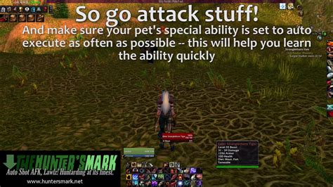 vanilla wow pet training points